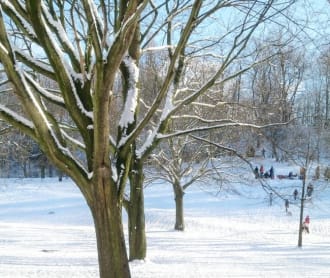 Best Things to Do in Berlin in Winter