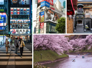 What is Tokyo Like? Things to Love About Japan's Capital City