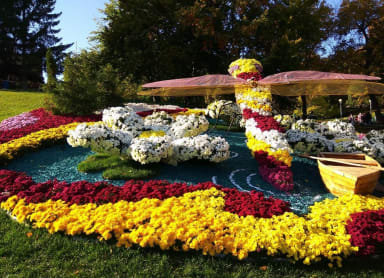 Sapporo Chrysanthemum Festival