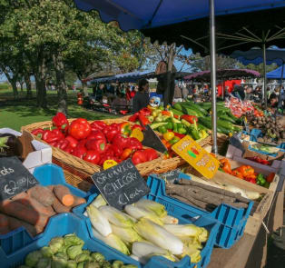 Dun Laoghaire Market