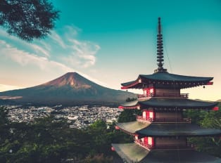 Tours by Locals Tokyo: Discover Some Hidden Gems, Cultu