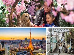 family admiring an owl, Tokyo city, lady standing under