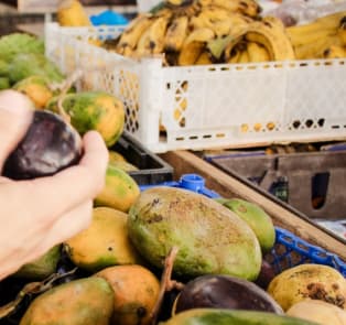 Experience A Food Market