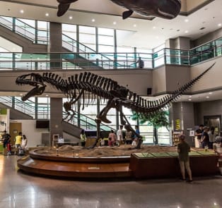 The Seodaemun Museum of Natural History