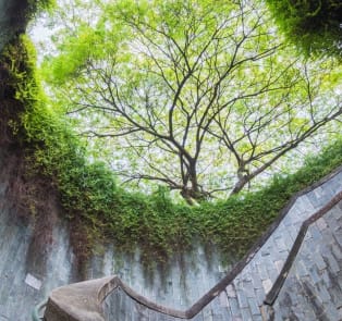 Fort Canning Park