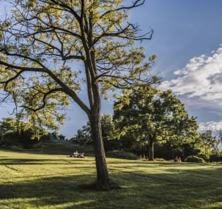 City Park