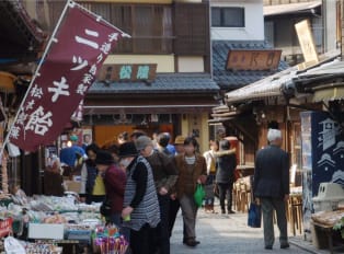 Locals will take you to a full day trip from Tokyo, not