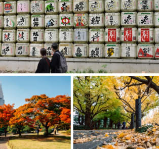 When is Fall in Tokyo?