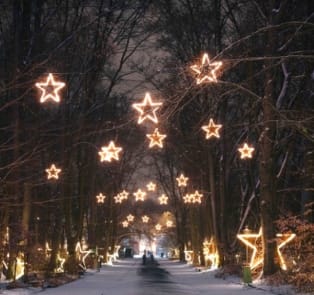 Get lost in Berlin’s Christmas Garden