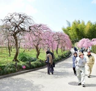 Nagoya Agricultural Centre
