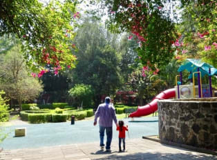 Where To Stay In Mexico City - Best Neighbourhoods Guid