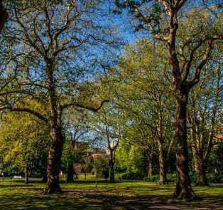 St Stephen’s Green
