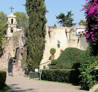 Museo Dolores Olmedo