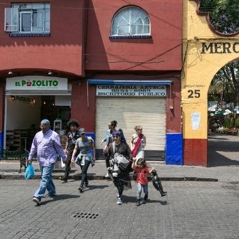 Explore the creative Coyoacán neighborhood