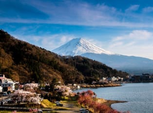 Tokyo private day tours are a great escape from the bus