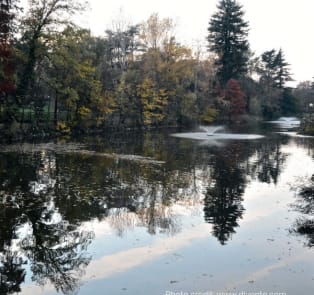 Giardini