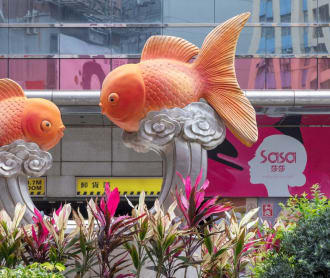 Unusual Things To Do In Hong Kong That Are Not In Your Guidebook
