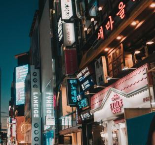 Mount Namsan and Myeongdong