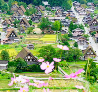 Gifu