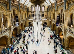 Natural History Museum - South Kensington
