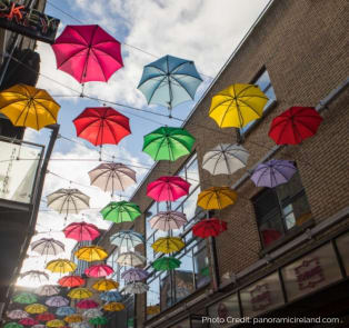 Take Pictures Of The Umbrella