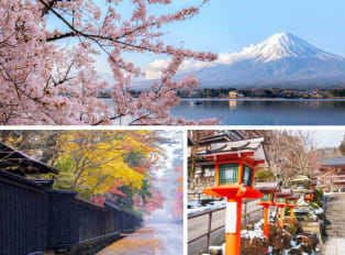 Winter Sightseeing in Tokyo Done Right: What to Know and What to