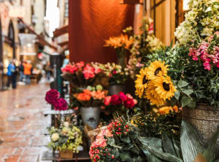 Things To Do In Spring In Bologna