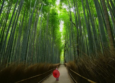 Arashiyama and Sagano