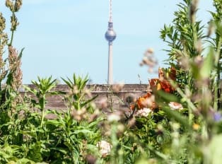 What To Do In Berlin This Summer - Things To Do In June