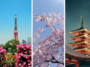 3 days in Tokyo: from famous hotspots to local secrets