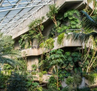 The Barbican Conservatory