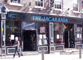 The Jacaranda