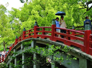 Best Things to do in Fukuoka this Summer | City Unscripted