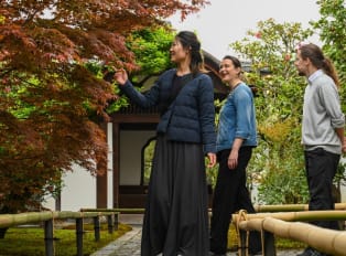 Enjoy a picnic under the cherry blossoms