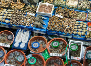 Shop At Seoul’s Biggest Fish Market