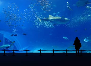 Yokohama Hakkeijima Sea Paradise