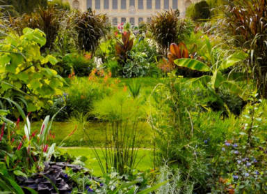 Jardin des Plantes