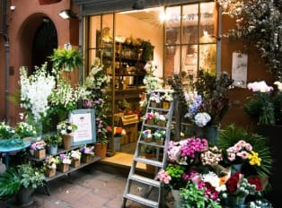 Unusual Things To Do In Bologna That Are Not In Your Gu