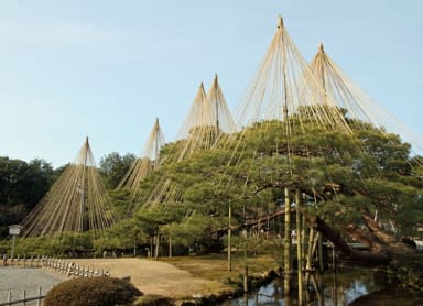 Stroll through Kenroku-en Garden