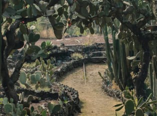 The Best Parks In Mexico City