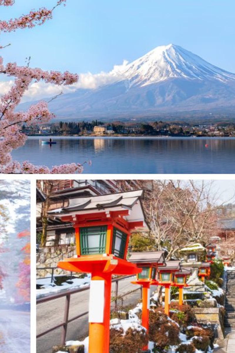 Winter Sightseeing in Tokyo Done Right: What to Know and What to