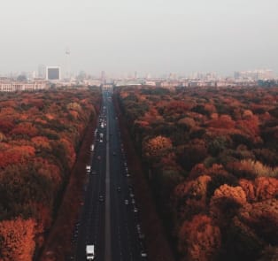 Experience the changing leaves in Berlin parks