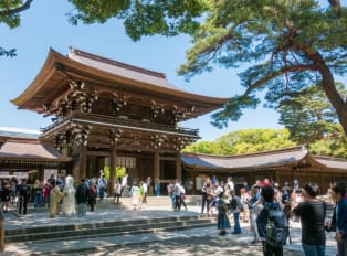 Explore Tokyo's history with temples and shrines