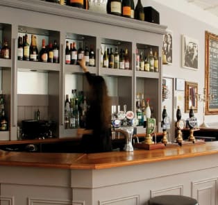 Duke of York