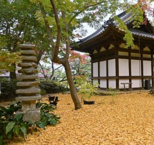 A secret garden straight out of a fairytale