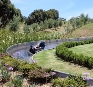 Thrills for the Speed-Freaks