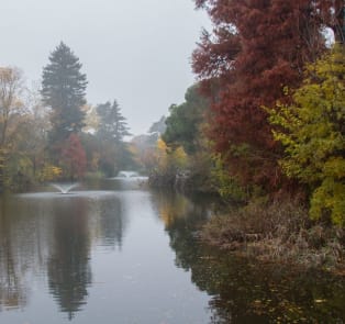 Parco Giardini Margherita