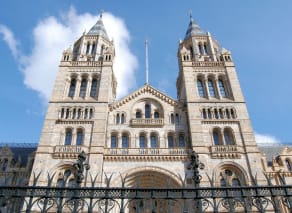 Visit the Wildlife Photography Awards at the Natural History Museum
