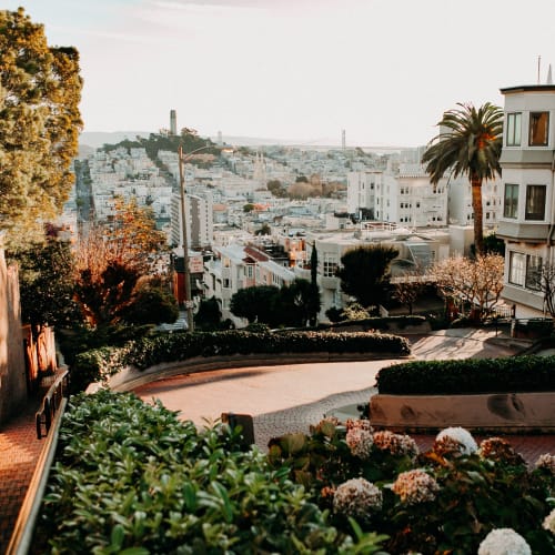 Must see San Francisco with a local