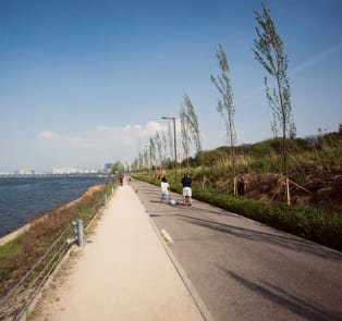 What to do in Gangnam in one day